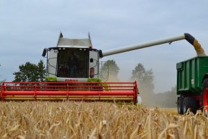 oogst van graan