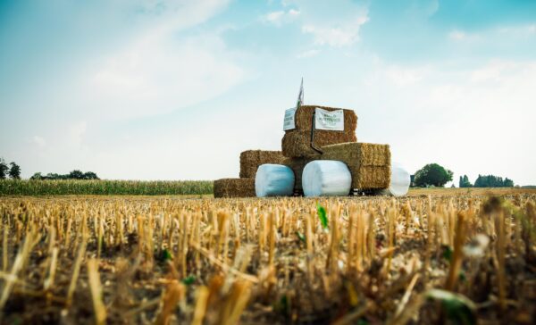 BFA stikstof stropoppen