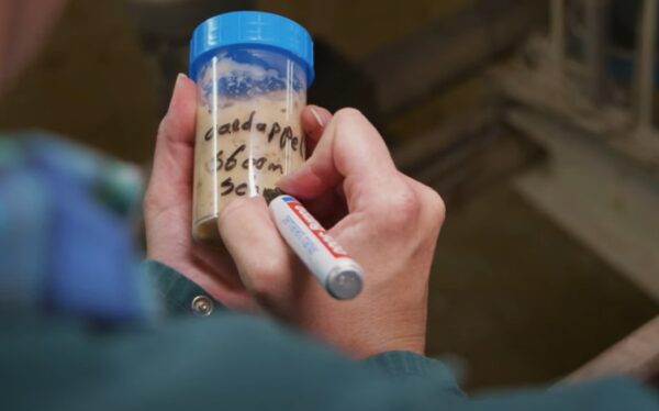 circulaire grondstoffen Trouw Nutrition