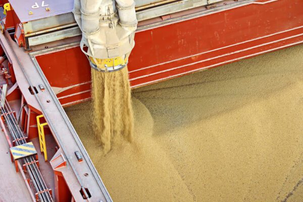 inname van graan voor transport