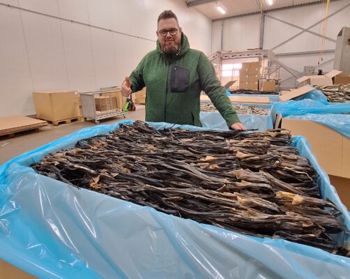 Gert Bakker in de fabriek bij een bak met gedroogde vis