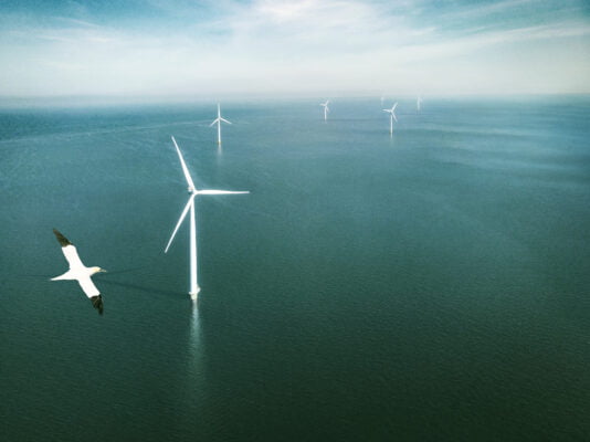 windpark Ecowende