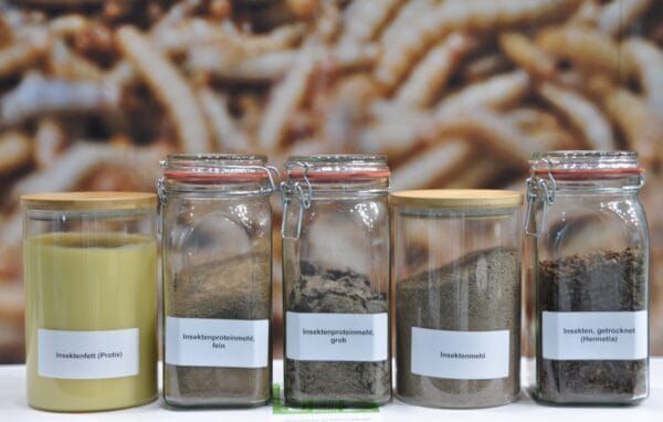 insecten als nieuwe grondstof