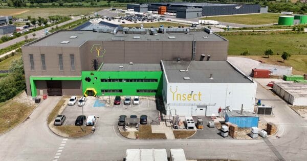 Ynsect producent insecten