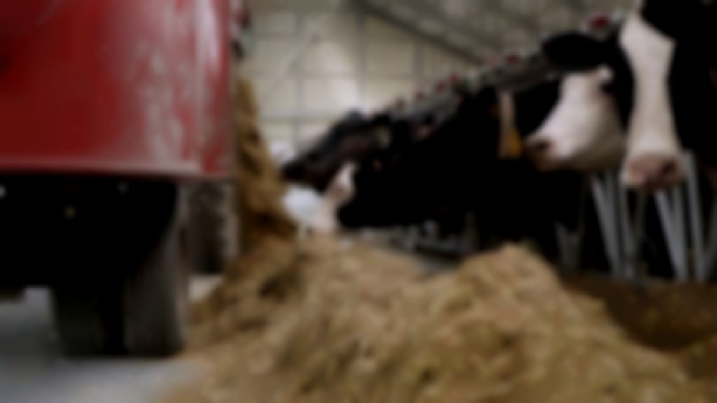 optimalisatieprogramma&rsquo;s diervoederindustrie 